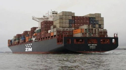 巨轮再添新翼 全球最大集装箱船独立船东加速船队扩张与船员战略布局